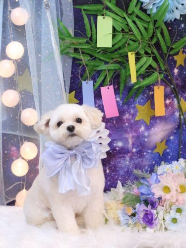 20250701みみくん